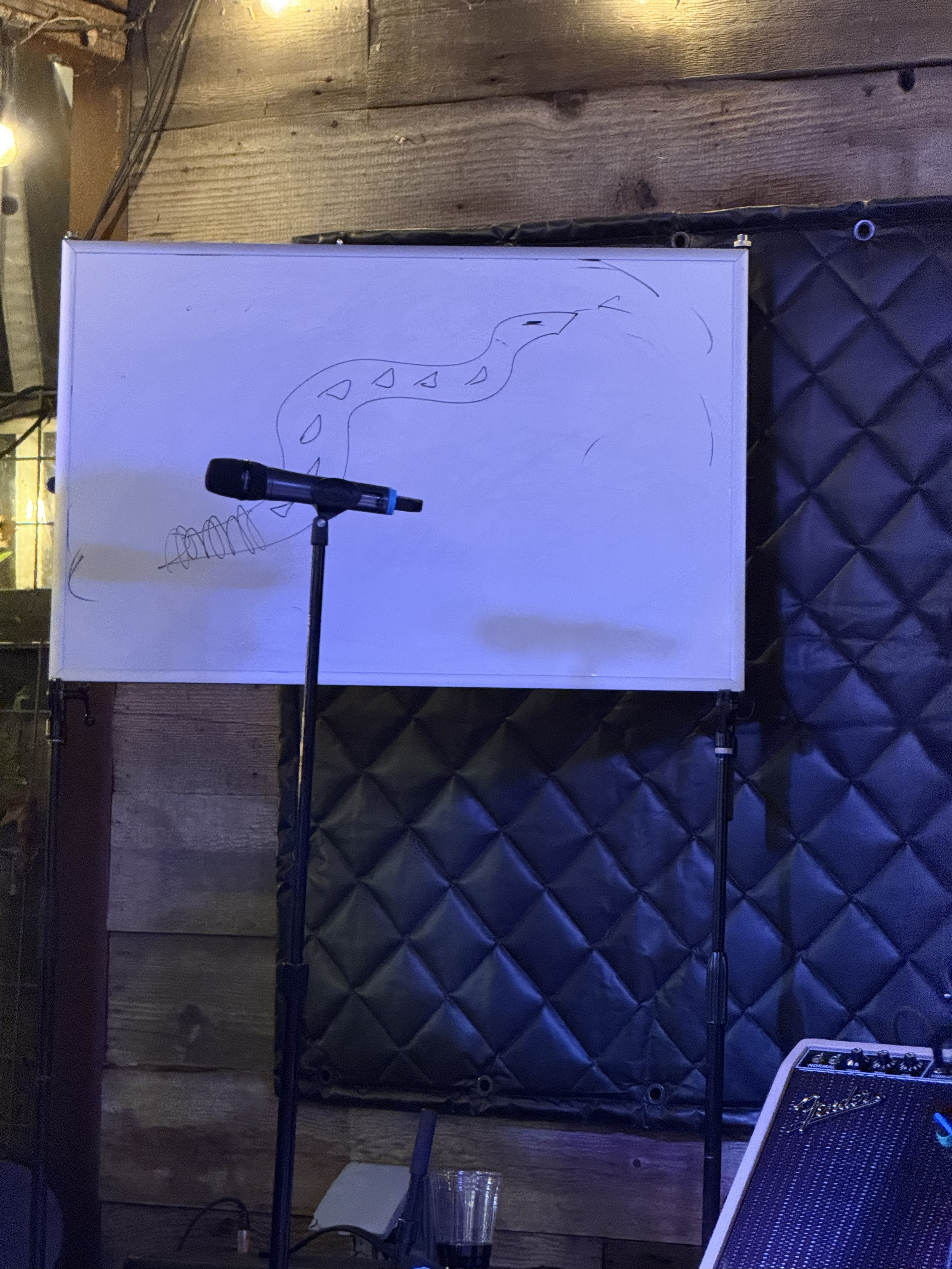 LesClaypool2025-11-22HopmonkTavernSebastopolCA (14).jpg